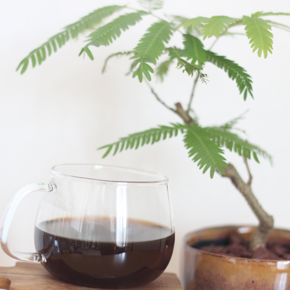 エチオピア　ジマ　ゲラ農園　G1 ウォッシュド　500ｇ