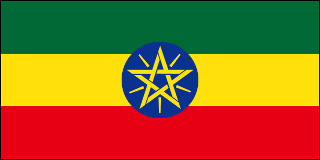 エチオピア　ジマ　ゲラ農園　G1 ウォッシュド　500ｇ